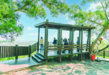 花蓮賞楓勝地:楓林步道 登高望遠如詩如畫