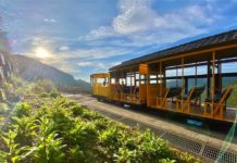 春節衝太平山必看!開園時間、蹦蹦車、車輛管制一次看